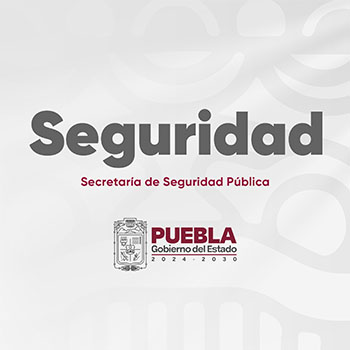 Secretaria de Seguridad Pública